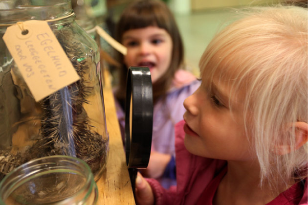 Die egel moet nader worden onderzocht!