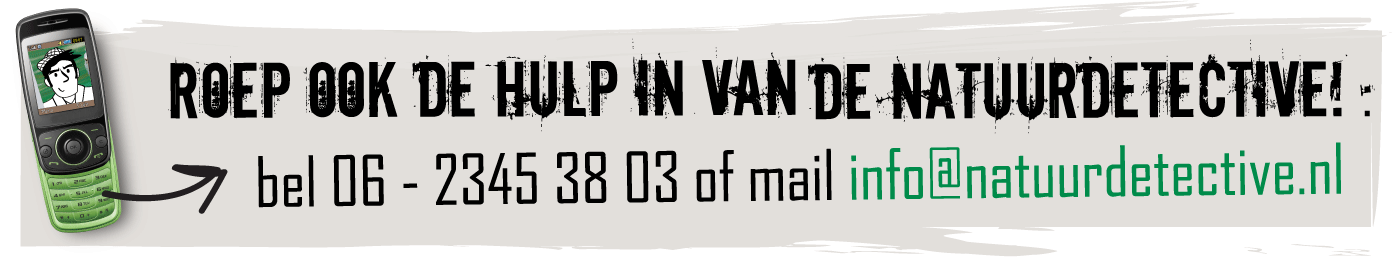 Roep ook de hulp in van de Natuurdetective. Bel 06-2345 38 03.